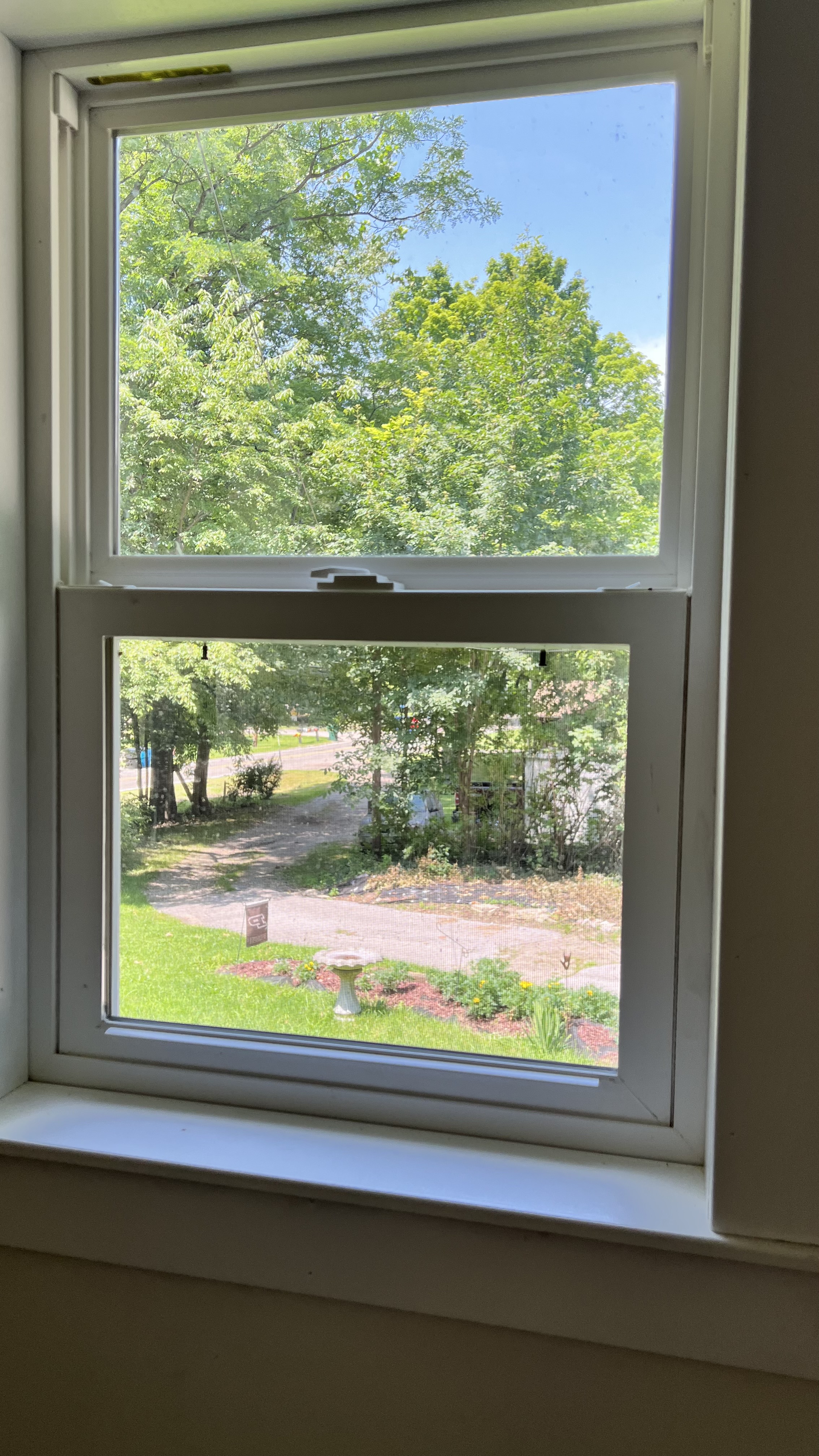 Window